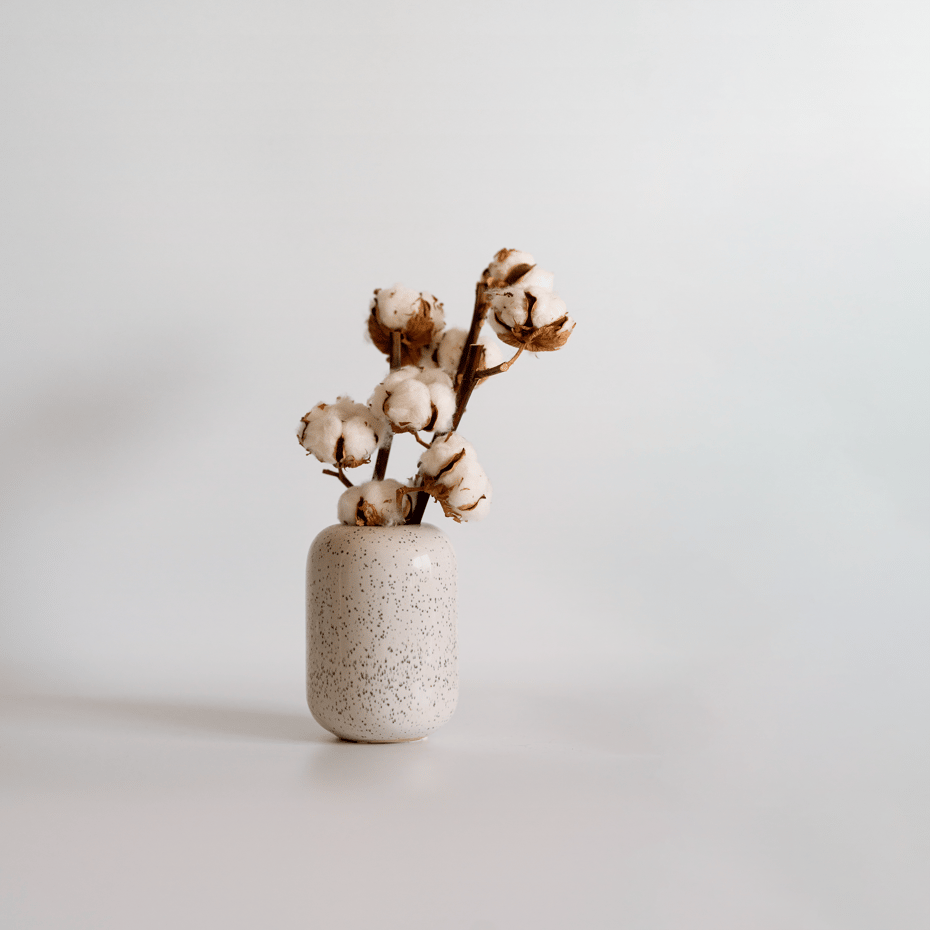 Image Vase